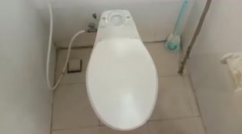 Shocked woman tries to flush toilet and finds live SNAKE
