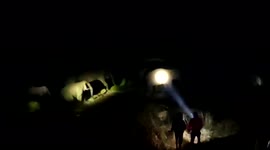 Herd of elephants pass by fields in eastern India