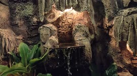 Kolam Ikan Dengan Air Mengalir, Suasana Natural Membuat Nyaman