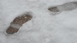 Snowstorm Izzy in Brentwood, Tennessee