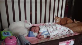Cat licks sleeping baby's head