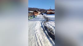 Three injured after wild boar charges through village in China