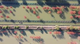 Footage Of Colorful Fir Forest Crab Base In Suqian, Jiangsu, China