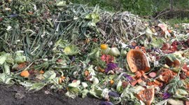 Food waste from restaurant kitchen responsible industrial disposal or food wastage in an environmentally friendly way by composting.