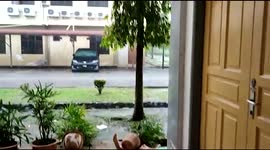 Malaysia: Thunderstorm Leaves Significant Damage To Shah Alam