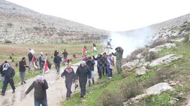Palestinian protesters clash with Israeli troops in Beit Dajan village