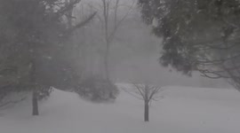 US: Powerful Nor’easter Hits Northeast, Causing Blizzard Condition In Massachusetts