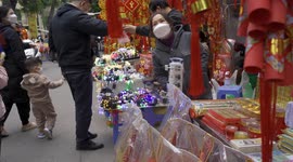 Traditional holiday market on the verge of the Lunar New Year in Hanoi, Vietnam