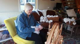 UK woman knits garments out of undercoat from Samoyed dogs