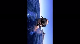 Excited Woman Diver Encounters a Huge Whaleshark swimming by in the ocean