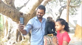 A monkey in South India pose perfectly like a model for selfies