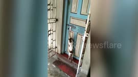 Clever cat knocks on door of home in eastern India like human visitor