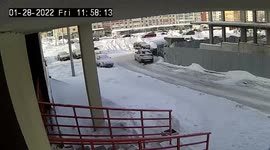 A pack of stray dogs attacked a child in the center of Ufa