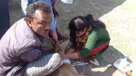 Injured deer gets rescued in central India