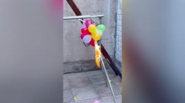 Chinese woman makes firecrackers using balloons to celebrate Lunar New Year