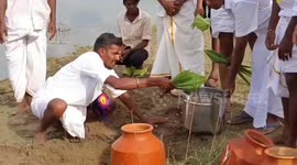 A Harvest festival is celebrated in  South India where only men s are allowed to take part in the celebrations