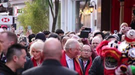 Prince Charles and Camilla visit London's Chinatown for Lunar New Year