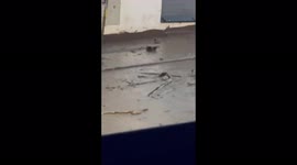 Ecuador: Deadly Flash Flood Hits Quito 3