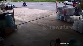 Wild monitor lizard sparks panic after crossing road and rampaging through shop Thailand
