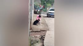 Chinese toddler covers dog’s ears so pooch wouldn't be frightened by nearby firecrackers