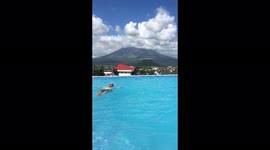 Legazpi Philippines infinity pool beautiful day best hotel for the money. Mayon volcano in the background.