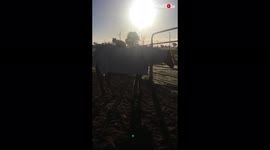 All aboard! Unlikely horse-cat duo is cutest thing you'll see today