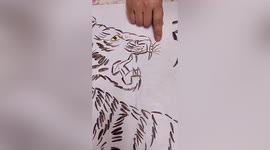 Chinese man uses melon seeds to create Lunar New Year artwork