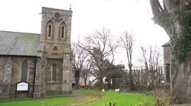 Llandudno goats visit a churchyard while one headbutts a gravestone