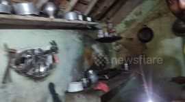 The cobra near the house recovered about 7 feet of cobra7u south india
