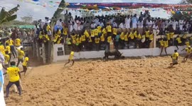 None of the bull tamers dared to touch this Bull