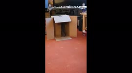 Two cats fighting over a cardboard box on Christmas Day so funny
