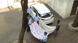 Rescuers in western India catch cat after 75-foot fall from tree