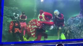 Thai zoo staff perform underwater lion dance inside aquarium to celebrate the Chinese New Year