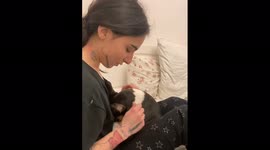 Bull Terrier puppy wants to sleep very much