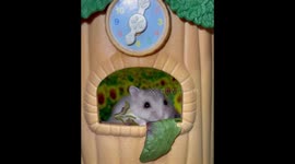 Adorable dwarf hamsters enjoy spinach