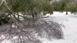 US: Winter Storm Brings Icy Conditions To Parts Of Texas 2