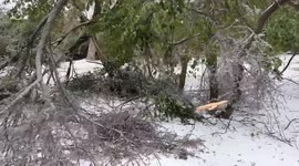 Winter storm brings icy conditions to Texas