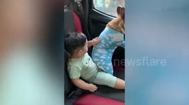 Pajama-wearing French bulldog enjoys sightseeing while riding inside a car