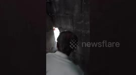 Stray cat rescued after being found stuck in narrow wall gap