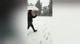 The People's Celebrating Snowfall in Shimla in Lunar New Year