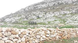 Palestinian protesters clash with Israeli troops in Beit Dajan village