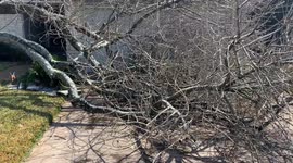 Central Texas Thaws After Winter Ice Storm Covers Area