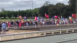 Thousands of Aussies gather at anti-vaccine protest in Canberra creating traffic chaos
