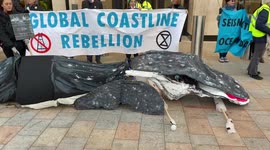 Activists drop a ‘whale’ outside Shell headquarters in protests against the oil company’s destruction of the ocean