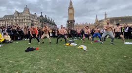 New Zealanders in London celebrated Waitangi Day with haka dance  in Parliament Square