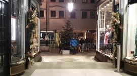 Peculiar scene as Christmas tree complete with decorations is installed in London