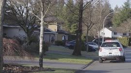 Police Arrest in a Residential Neighborhood for Robbery in Fraser Heights, Surrey, Vancouver, British Columbia, Canada. Part 3 of 4