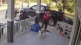 Metal fence falls on boy when he tries to close it to keep dog inside