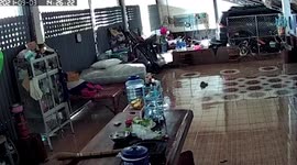 One-year-old boy finds wild cobra in family's living room