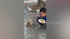 Kind local shares meal with hungry wild monkey